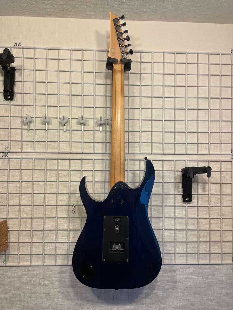 アイバニーズ　RG 2560ZEX-ABT