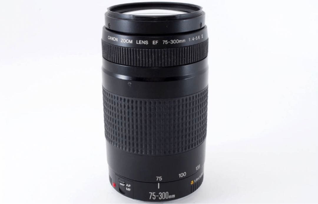 キヤノン☆迫力300㎜☆Canon EF 75-300㎜ F4-5.6 Ⅱ☆
