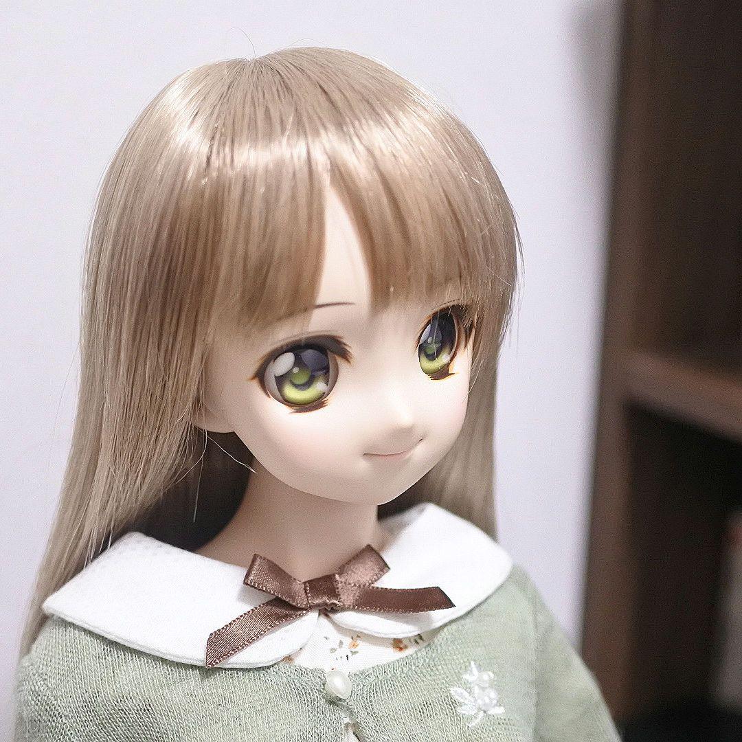 ドルフィードリーム　ドール　＋衣装20点以上、お出かけバッグ他