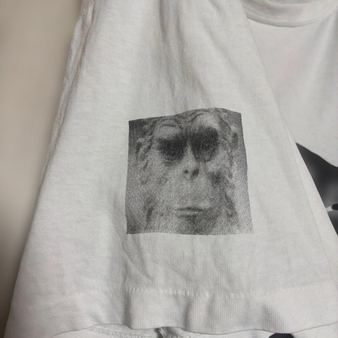 Ape tシャツ20