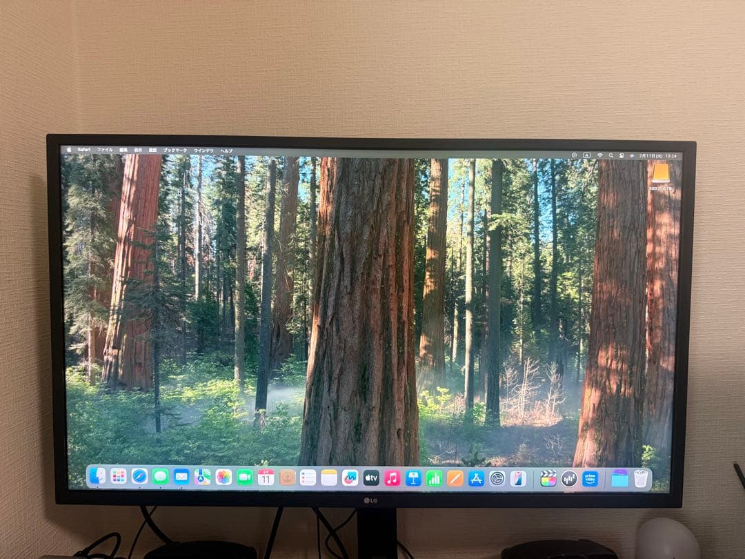 がんちゃん 　モニター ディスプレイ 32UD59-B 31.5インチ