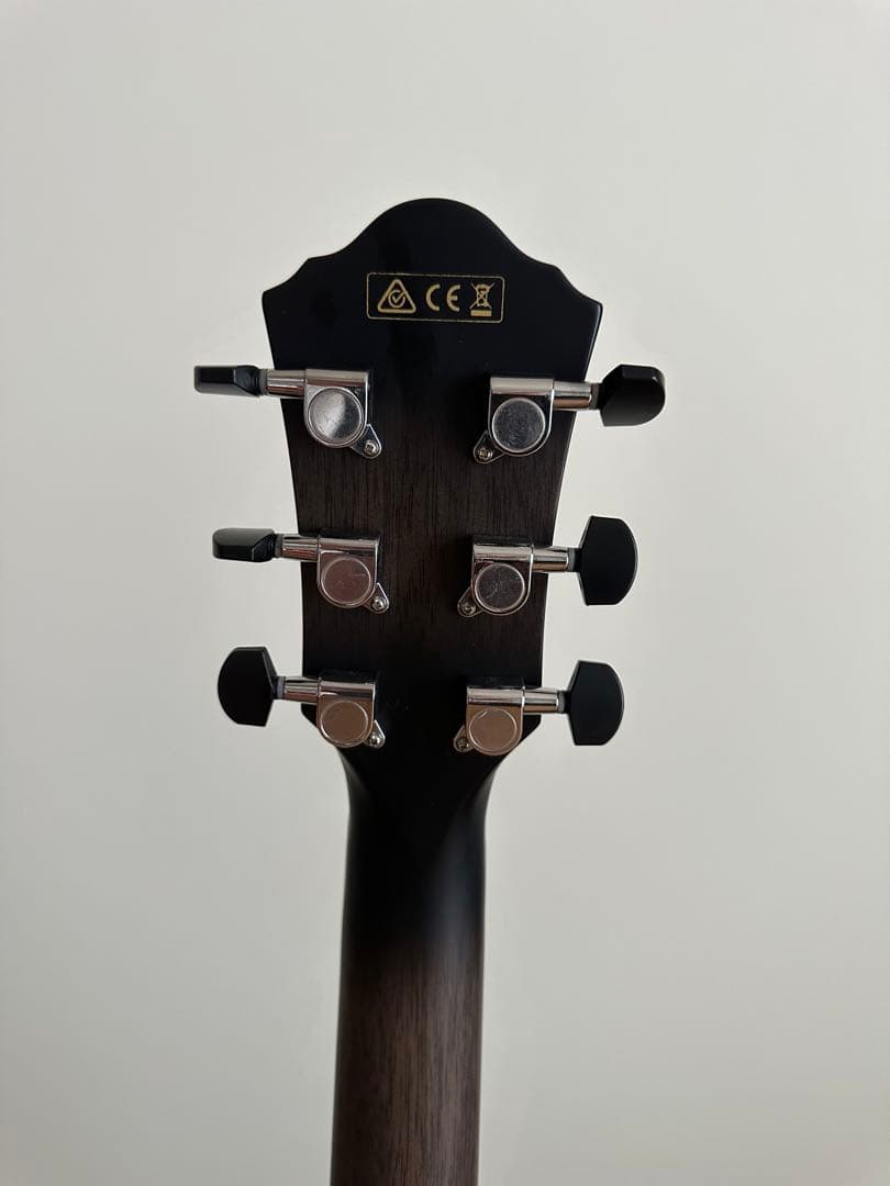ギター Ibanez AEWC400-TKS