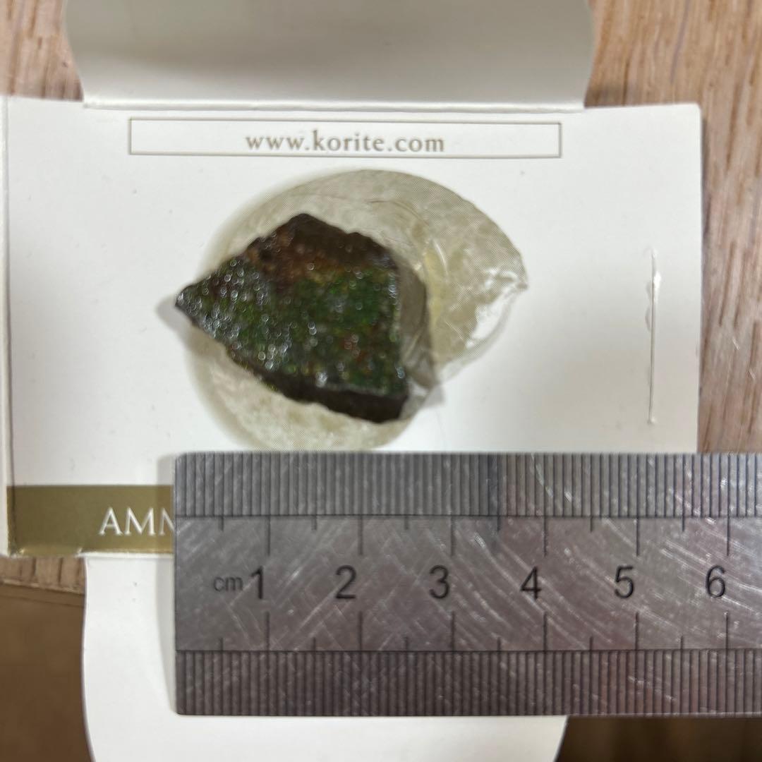 KORITE  アンモライト原石片