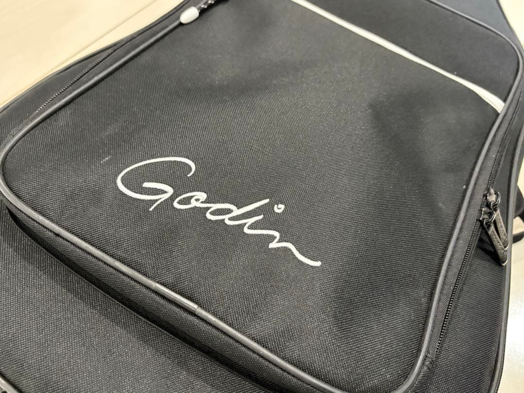 ギター Godin Guitars A6 ULTRA Natural SG