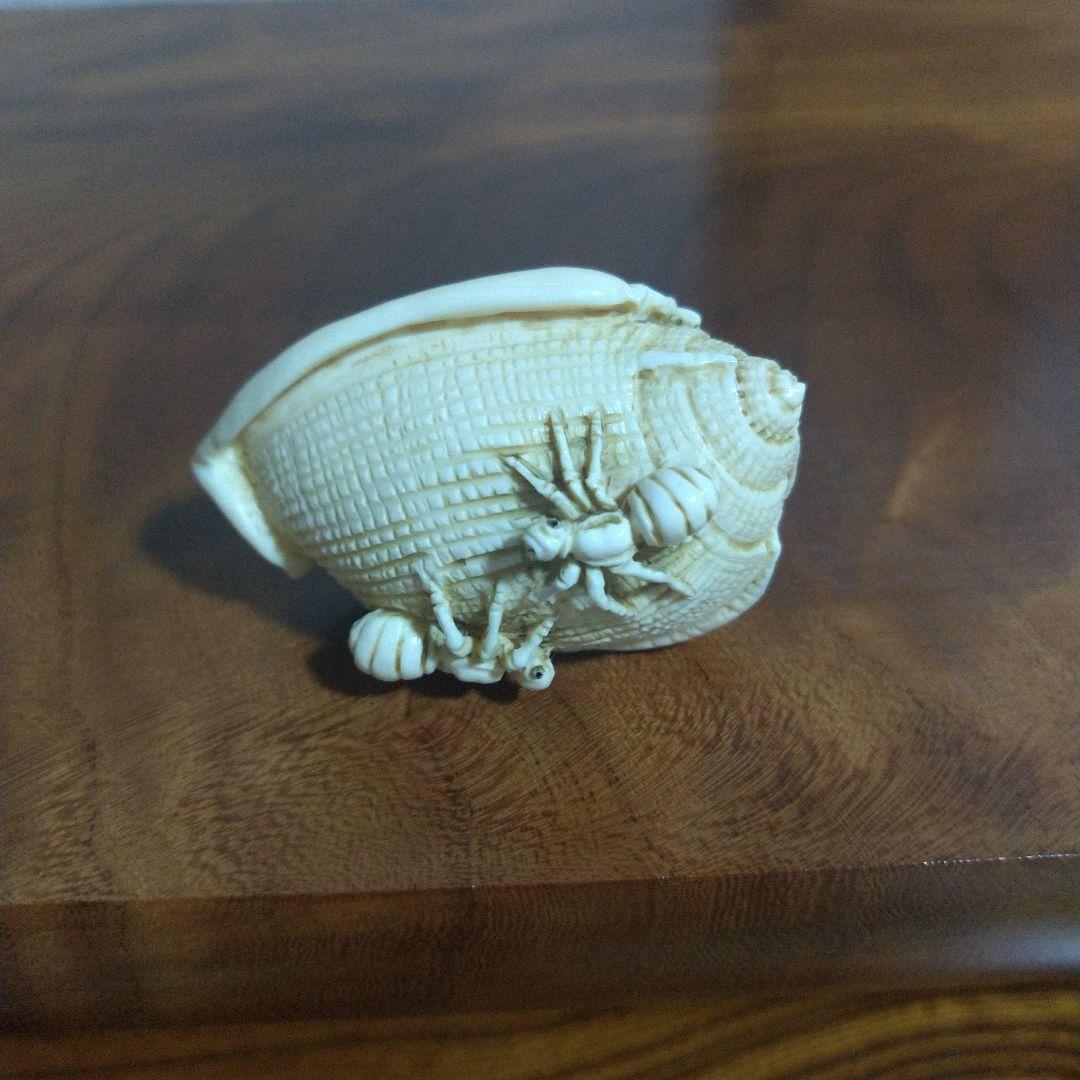 マンモス牙彫　根付　帯留　貝殻に蟻