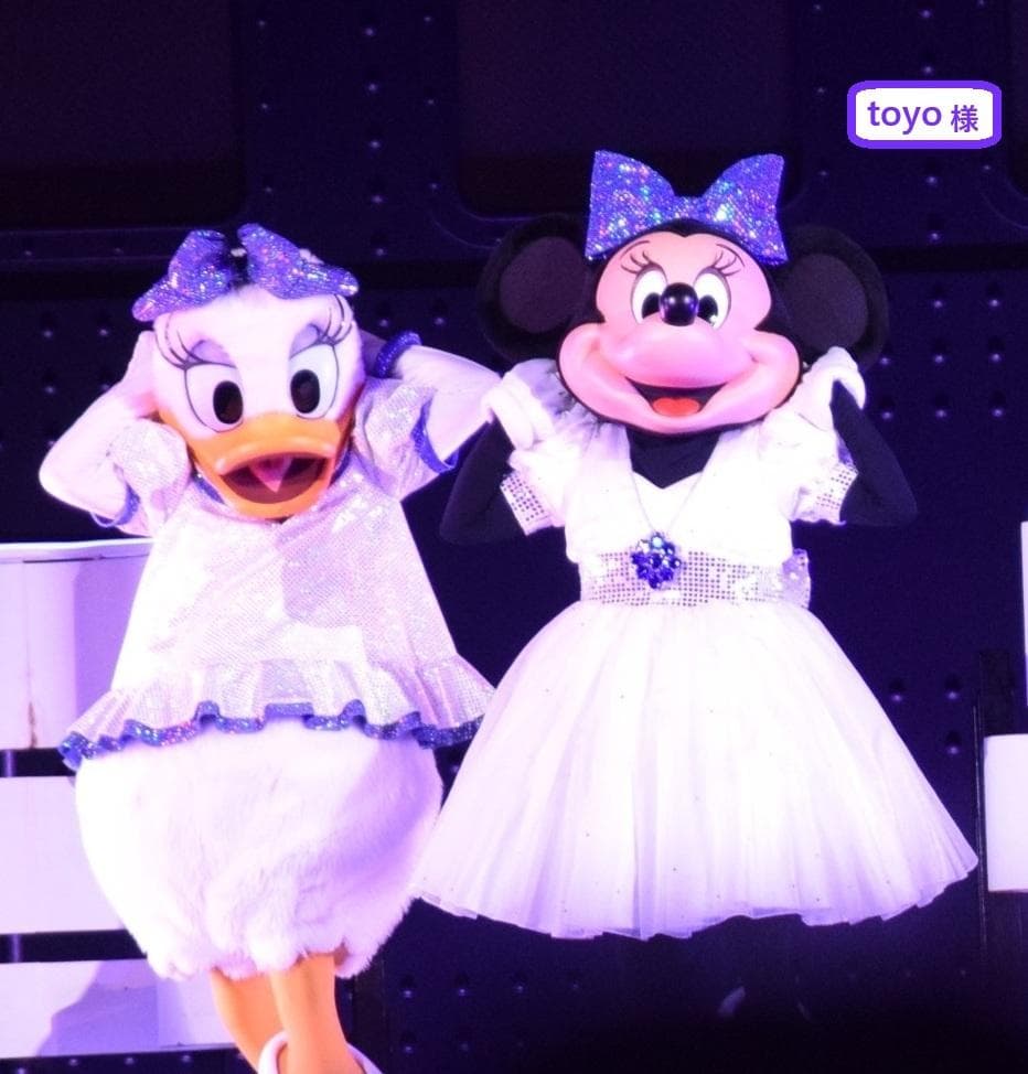 専用　ディズニーリゾート ポストカード　リゾートライン フリーきっぷ　近沢レース