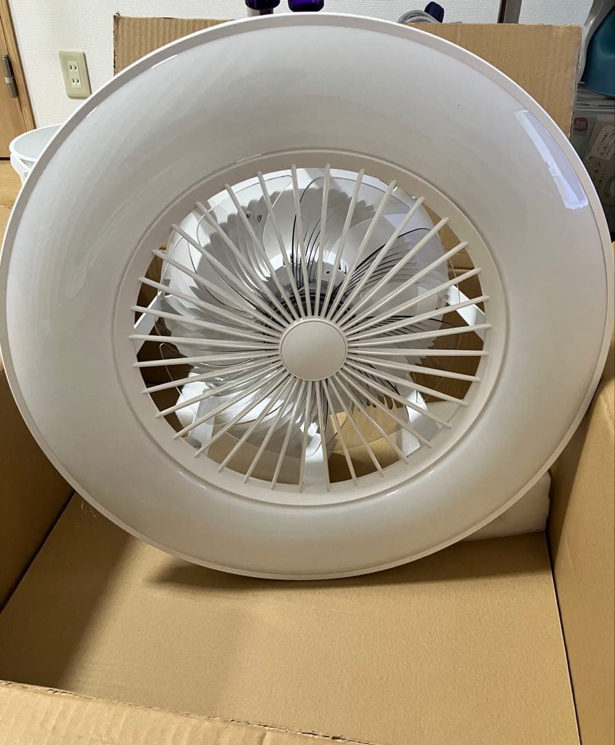 シーリングファンライト