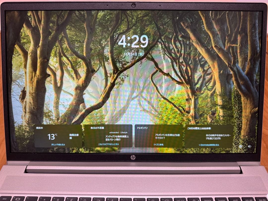 Windowsノート本体 HP ProBook 450 G10 Core i5 1335U