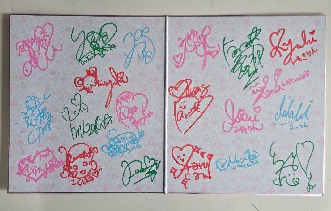 AKB48 メンバー直筆 サイン色紙 【当選証明付】