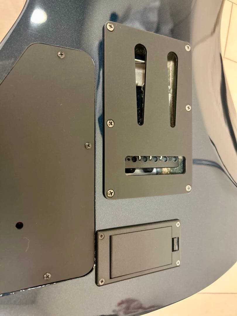 エレキギター　FERNANDES サスティナーlite