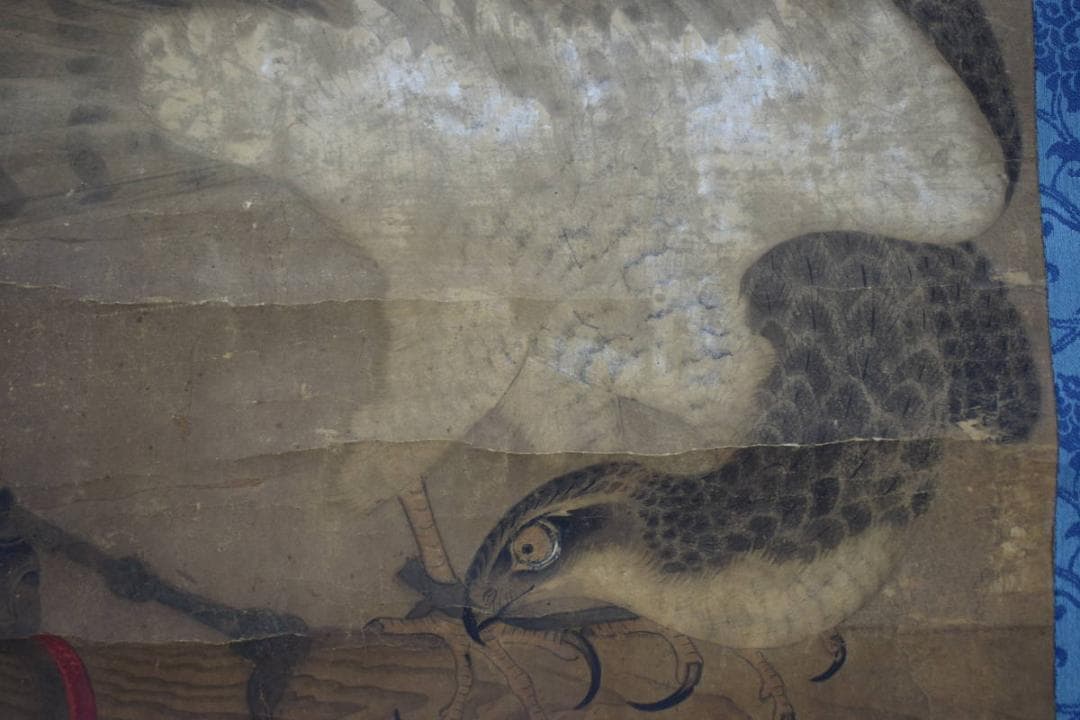 雪舟/鷹之図/タカ図/古画/掛軸☆宝船☆Z-601