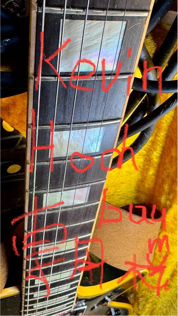 ギター Kevin Hochbaum