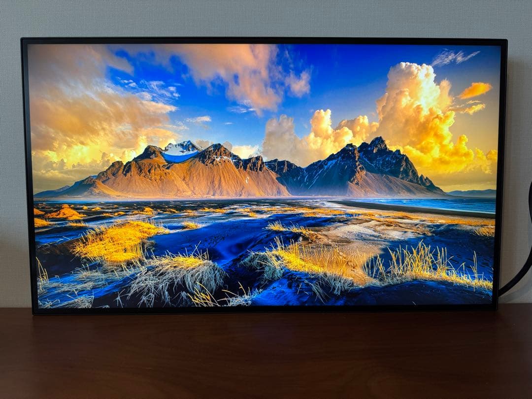 【Yuri0712】 2枚セット ThinkVision 本体のみ