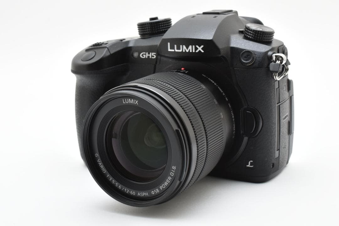 ■ショット数3451回■LUMIX DC-GH5 標準ズームレンズキット