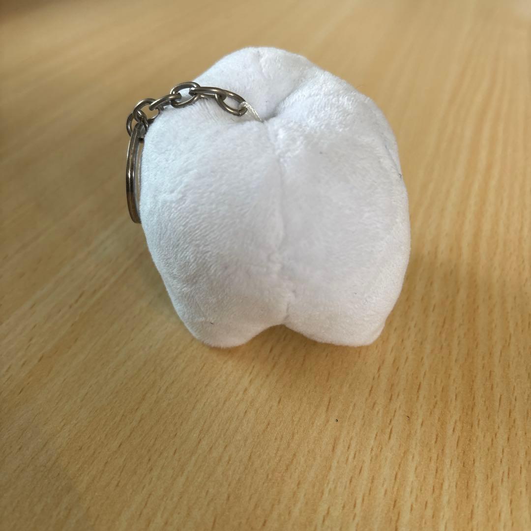 歯ちゃん➕おまけつき！