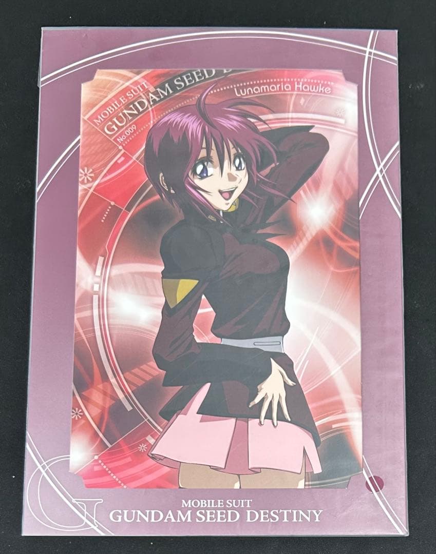 ガンダムSEED DESTINY ヒロイン ポートレート　全7種　コンプセット