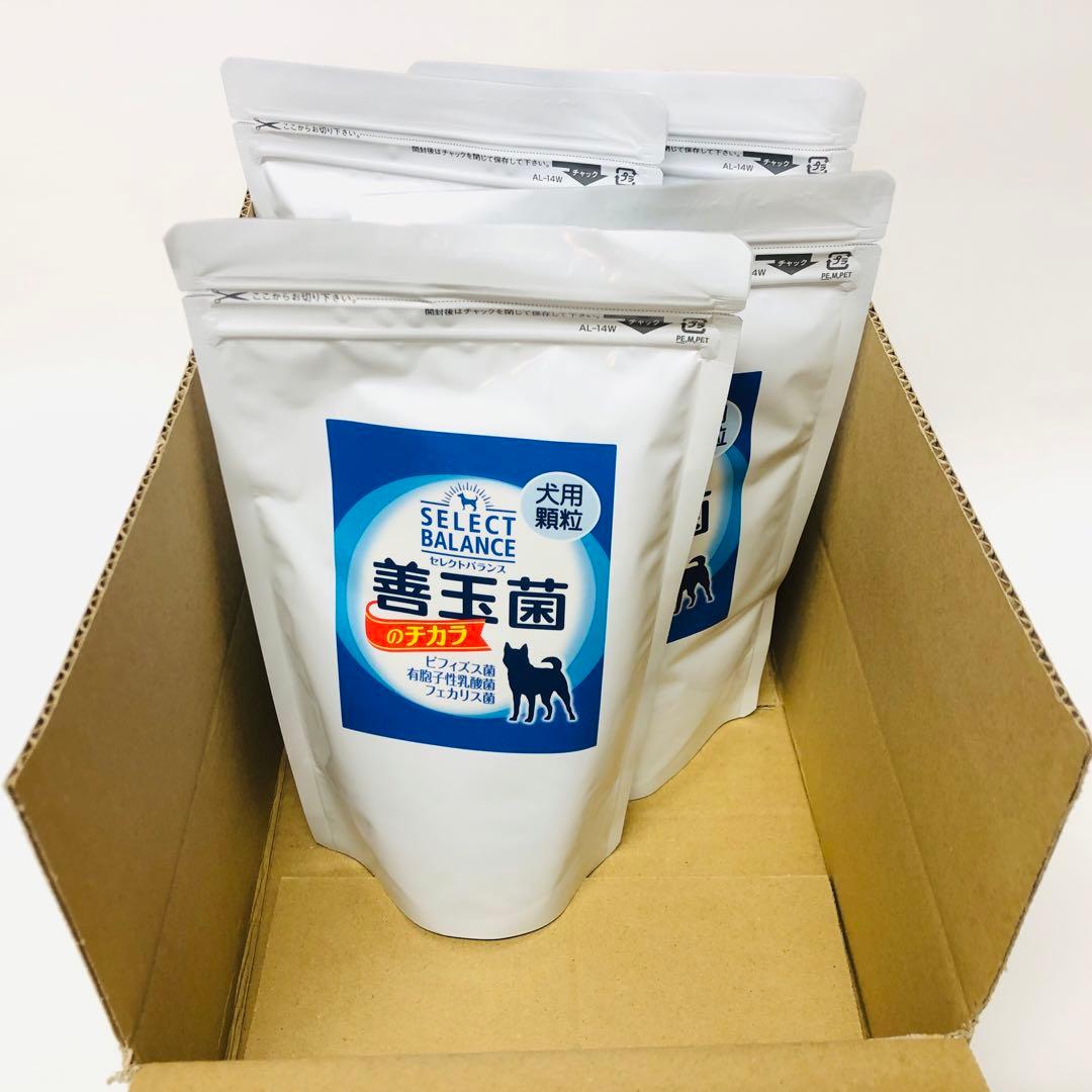 4点セット　セレクトバランス　善玉菌　乳酸菌　顆粒　300g