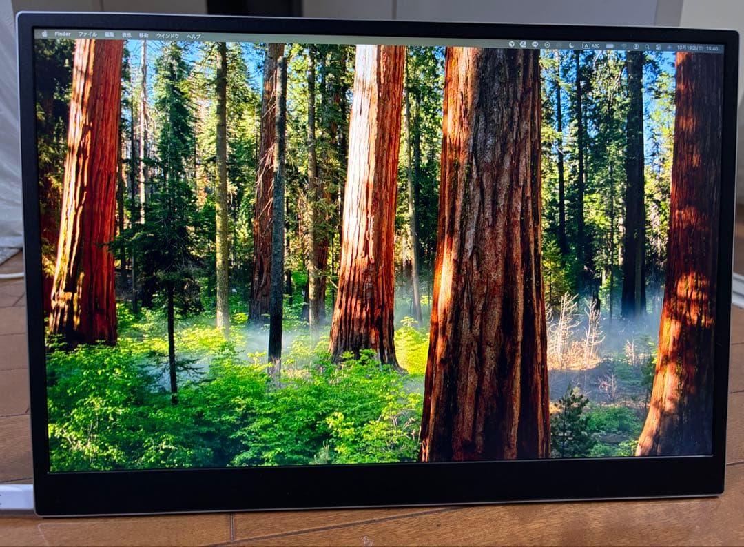 LG gram view タブレットモニター(箱・同梱物なし)