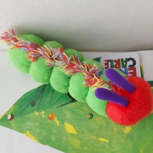 新品　はらぺこあおむし　くたくた ペンケース　ポーチ　ぬいぐるみ