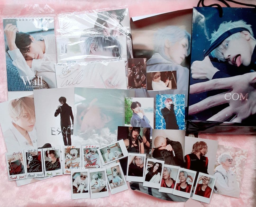 ウィル　コスプレイヤー　コスプレ写真集、チェキ等グッズセット