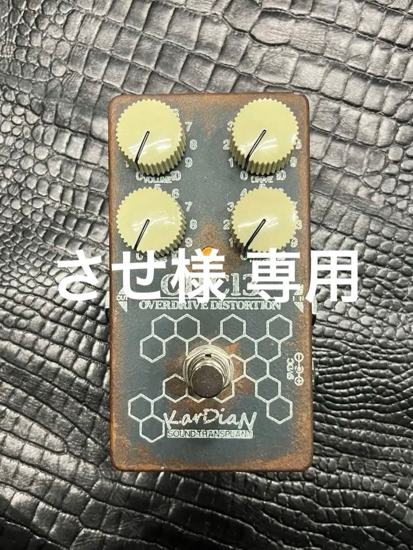 させ KarDiaN カージアン CHCl3 クロロホルム