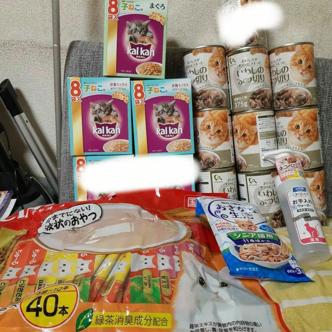 カルカン24袋、チュール40本 、銀のスプーン×２、375g缶詰9缶他