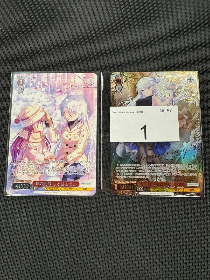 ヴァイスシュヴァルツ 海を見つめる少女 しろは