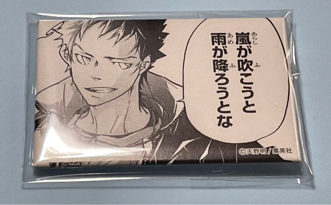 家庭教師ヒットマンreborn 山本武