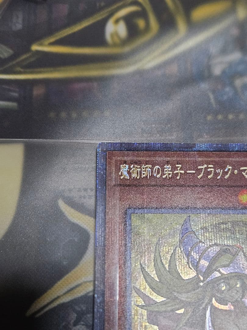 魔術師の弟子 ブラックマジシャンガール 光の黄金櫃 25thシークレットレア