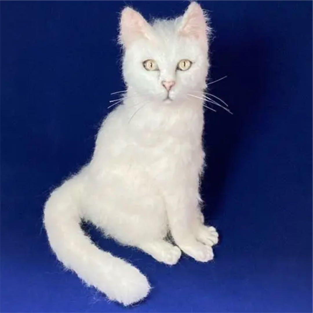 白猫 Lサイズ サンプルページ オーダー