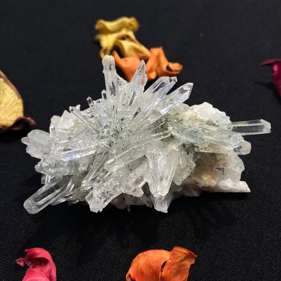 コロンビアレムリアンクラスター