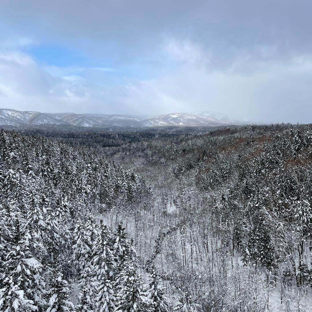 手羽先ジャーキー犬用600g鹿ジャーキー犬用400g鶏ささみジャーキー400g