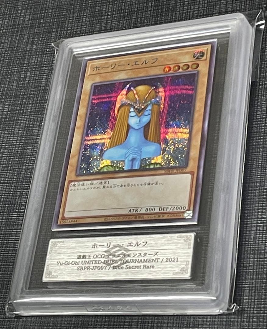 ホーリーエルフ ブルシク ARS10＋‼️