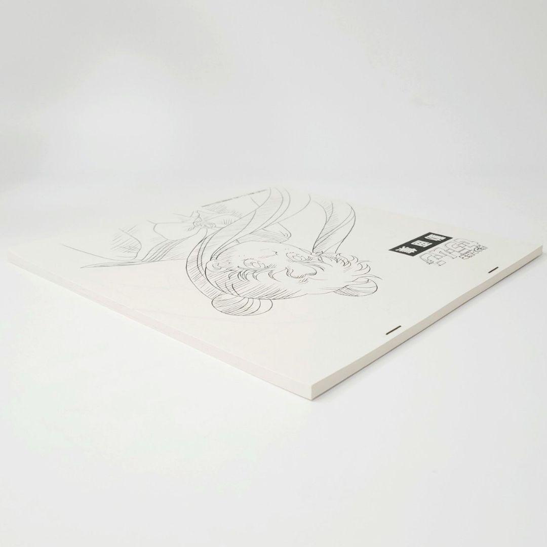 美少女戦士セーラームーン　動画集 講談社　テレビ朝日　東映動画