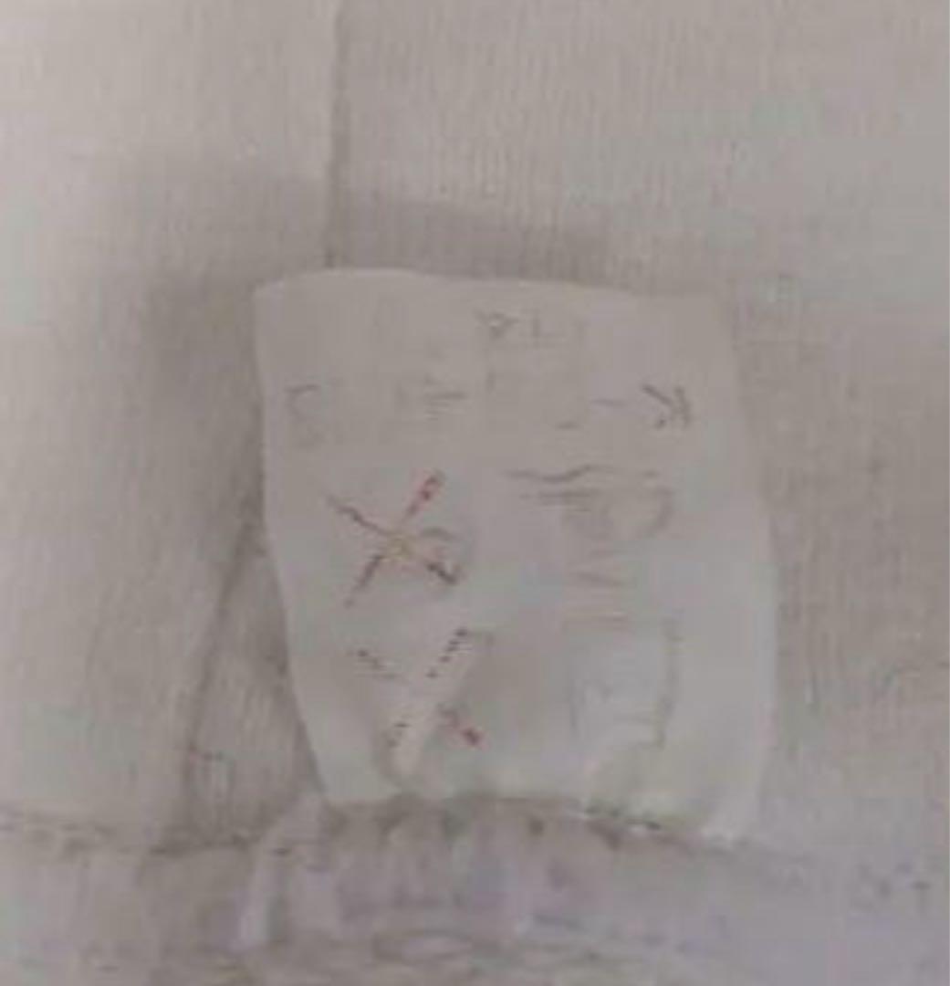 ヒューイルイス＆ザ・ニュース 日本ツアースウェット80s 90sヴィンテージ