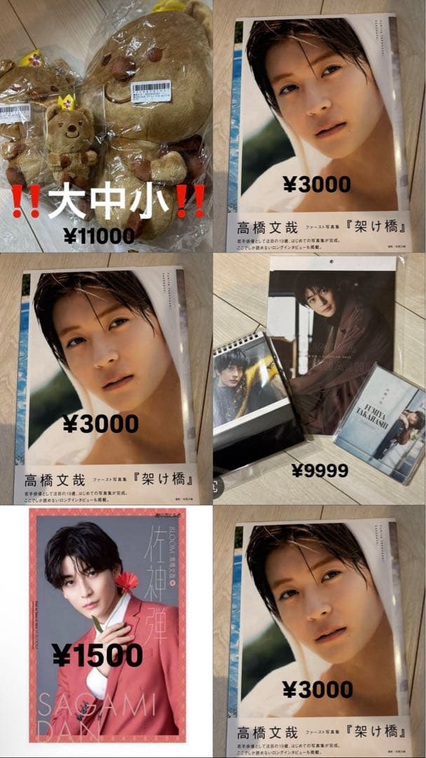 高橋文哉 まとめ売り 19点セット　俳優　BLOOM ブルーム　映画　完売品