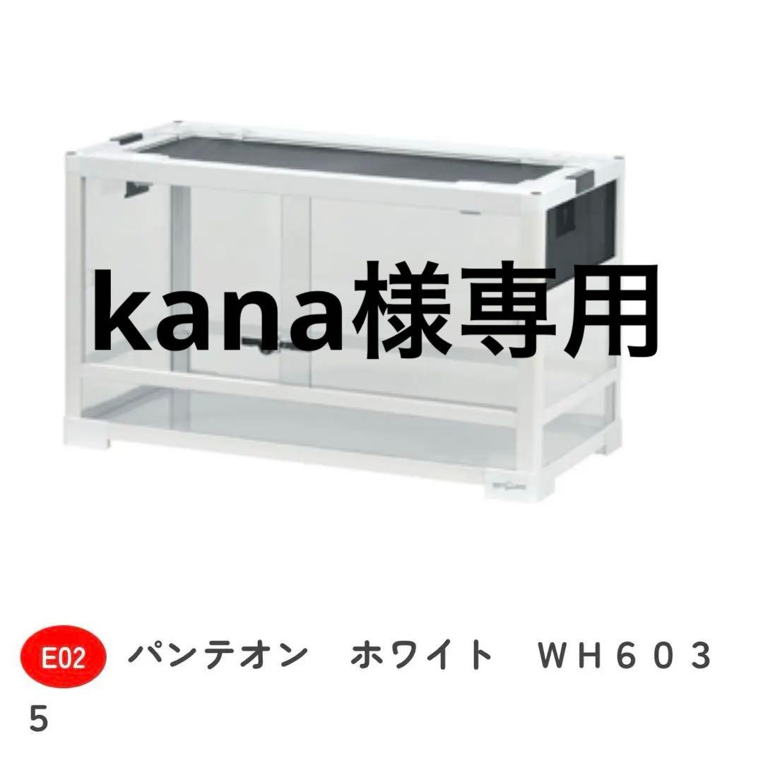 パンテオンWH6035 三晃商会 飼育ケース ガラスケース 爬虫類 小動物 リス