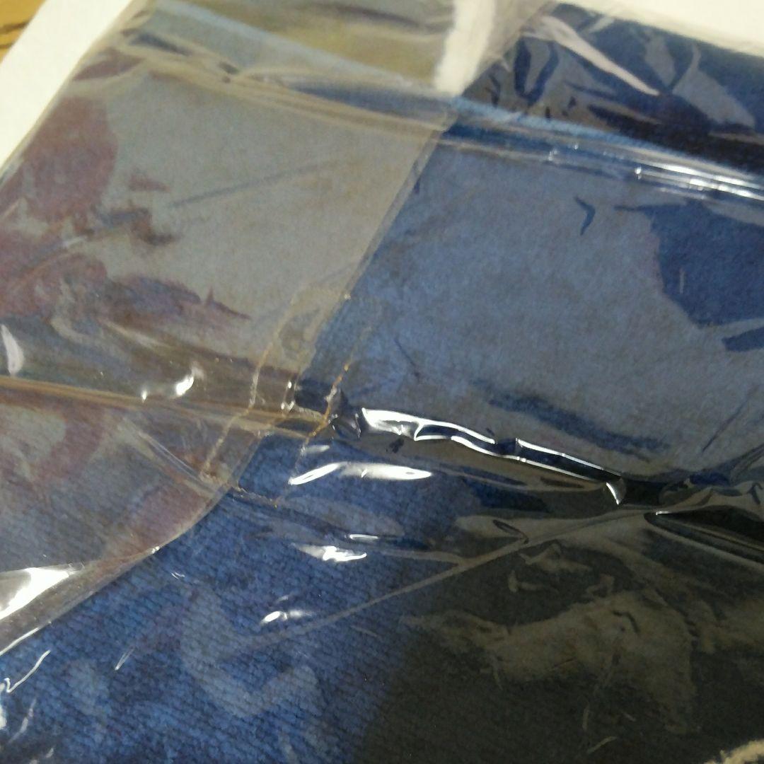 送料込☆西田ひかる コンサートグッズ「バスタオル&帽子」☆ビニール袋未開封☆美品