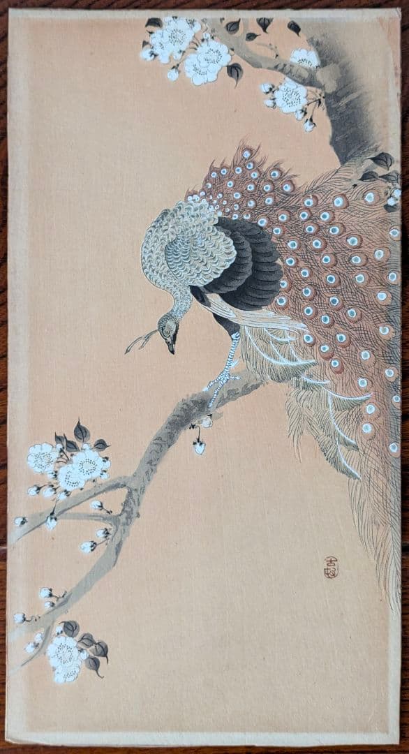 小原古邨「桜に孔雀」本物木版画