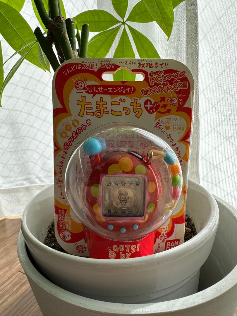 バンダイ たまごっち 赤　レア　コレクション