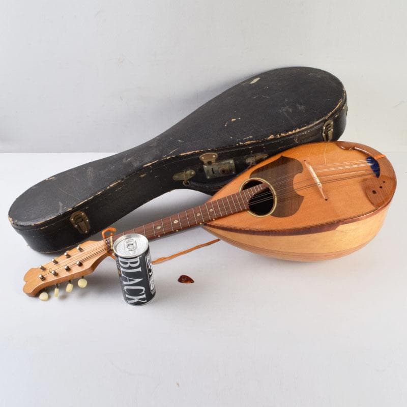 国島マンドリン　NO.104　ハードケース・鼈甲ピック付　M　R9251H