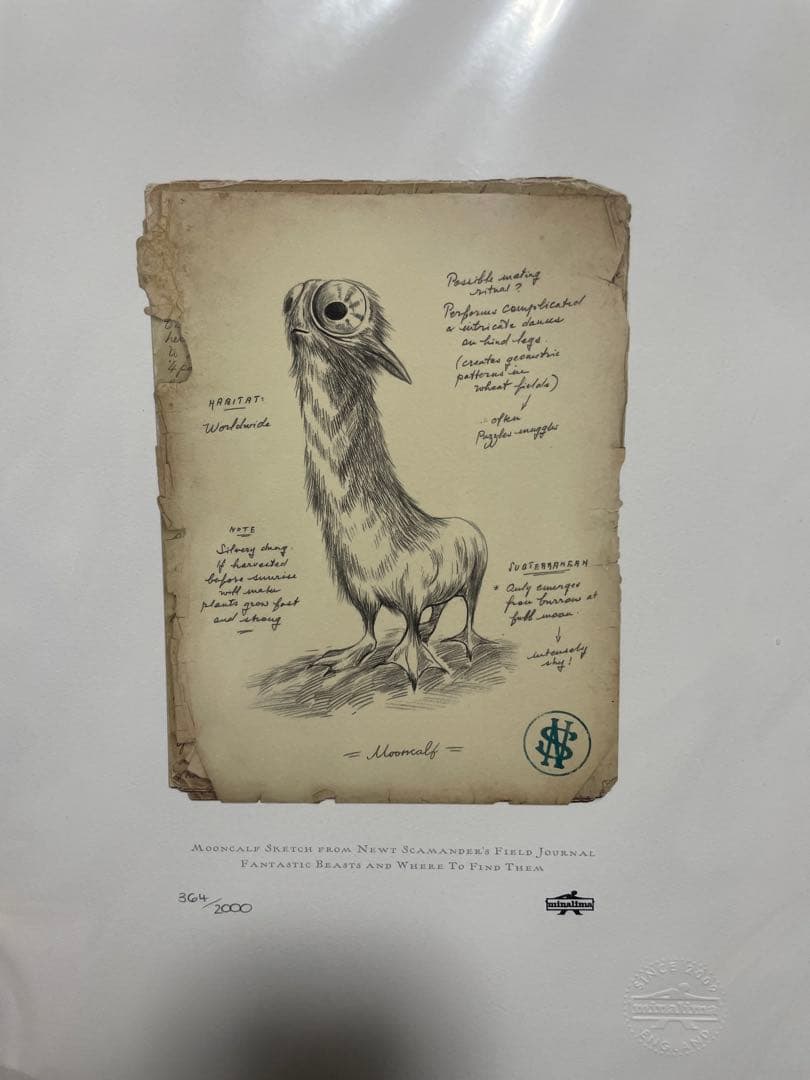 ミナリマ　アートプリント　ハリーポッター　ファンタスティックビースト　魔法生物