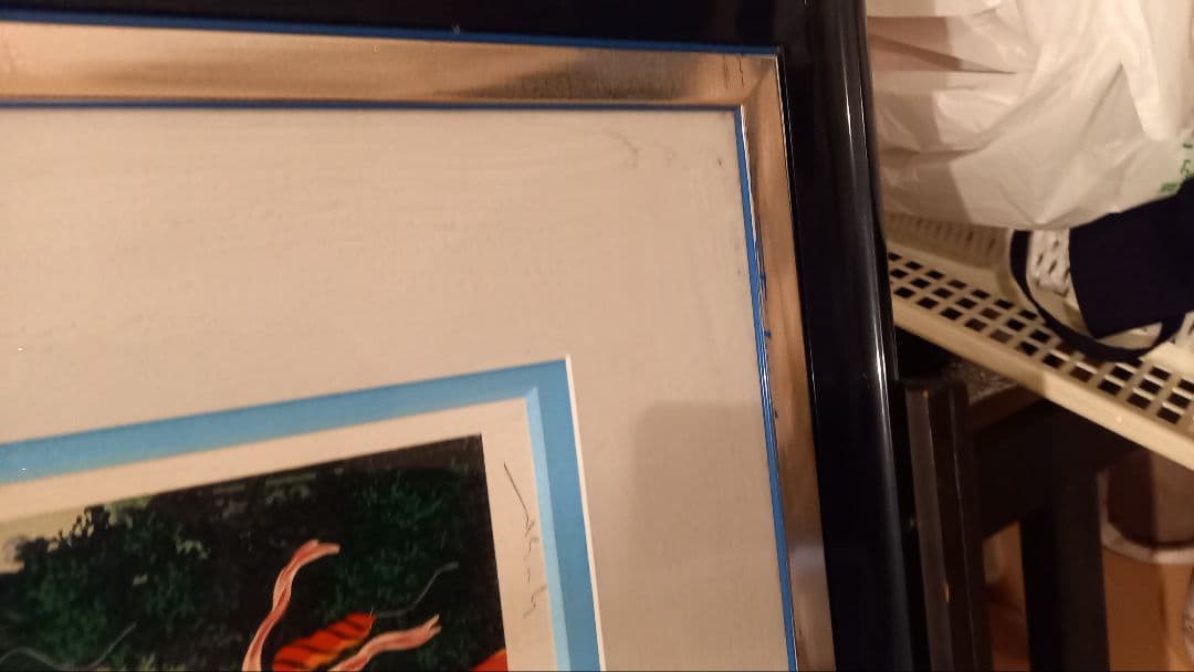 ヒロ　ヤマガタ【スター ライトコンサート 】