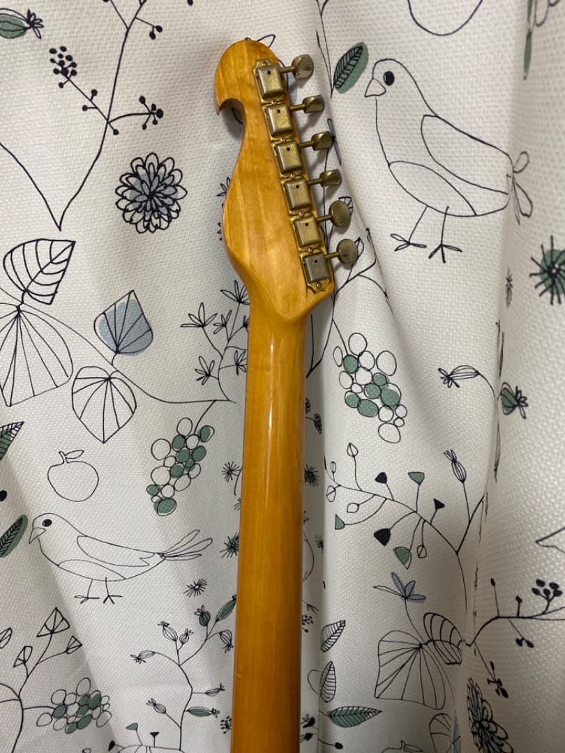 ビルローレンス　BCOR55G シャケモデル