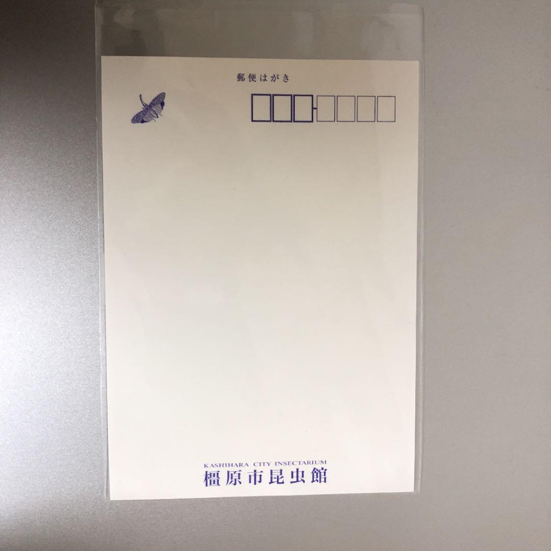 【珍品】ギラファノコギリクワガタ ポストカード