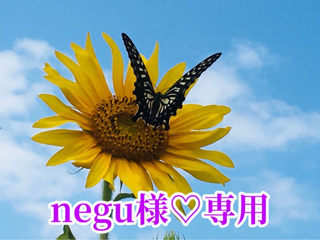 negu様❤️おまとめ専用ページです。3/4まで♡