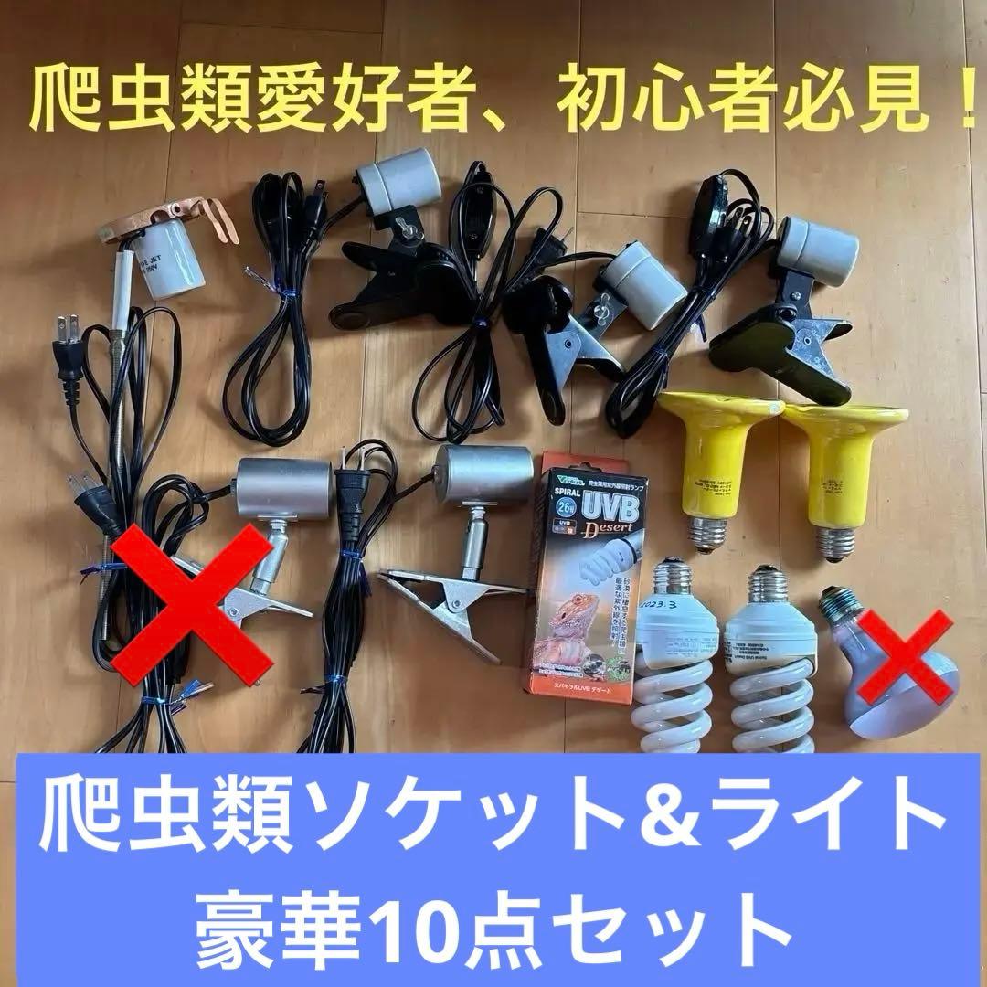 【爬虫類愛好者、初心者必見！】ソケットとライトのセット　値引き交渉可