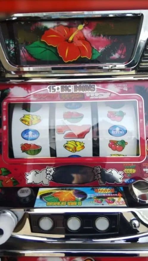 パチスロ実機 ハナロマン