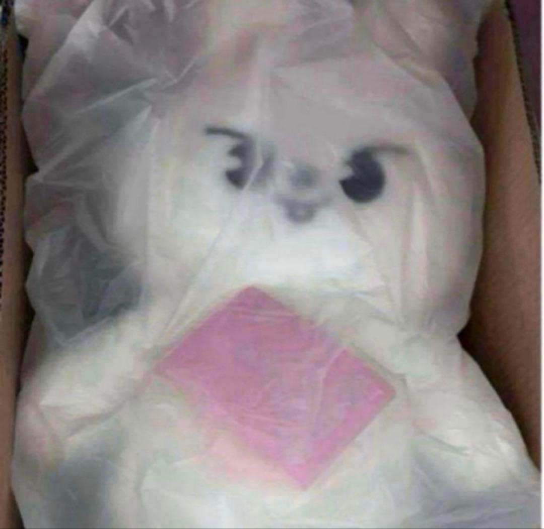 leebit テディベアSKZOO PLUSH TEDDYBEAR Ver.