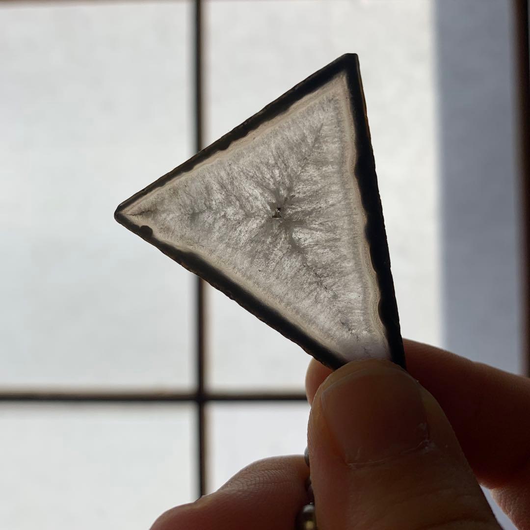 妻の作った　銀河鉄道の夜のガーランド　ますむらひろし派　標本のようなイメージ